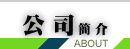 公司简介